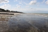 Ver-sur-mer
